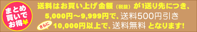 送料割引でお得！